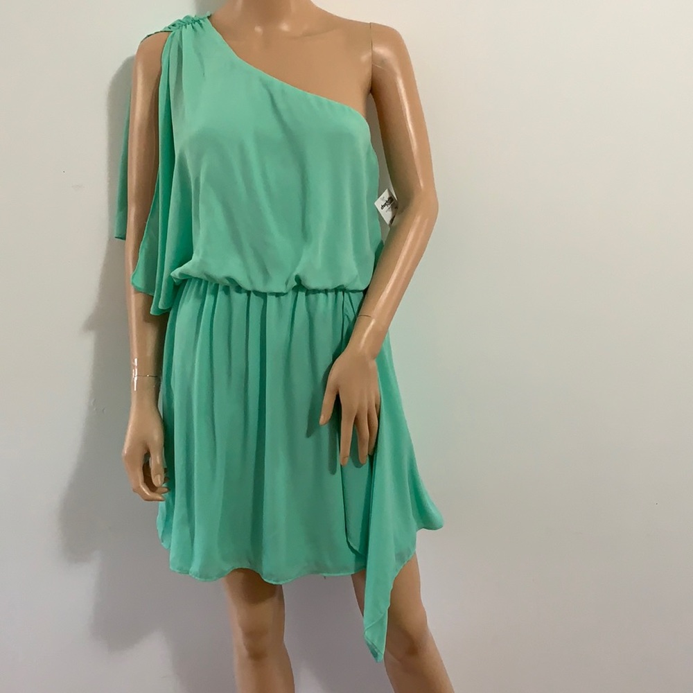 Charlotte Russe Woman’s Dress.
